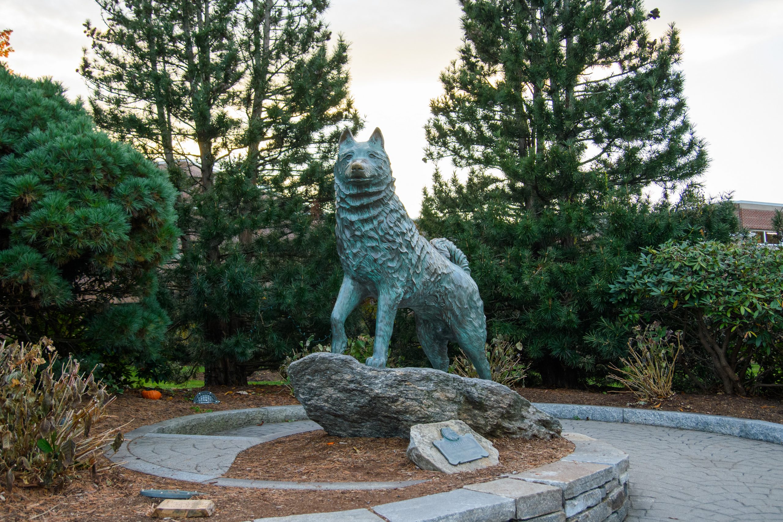 Husky Dog Statue